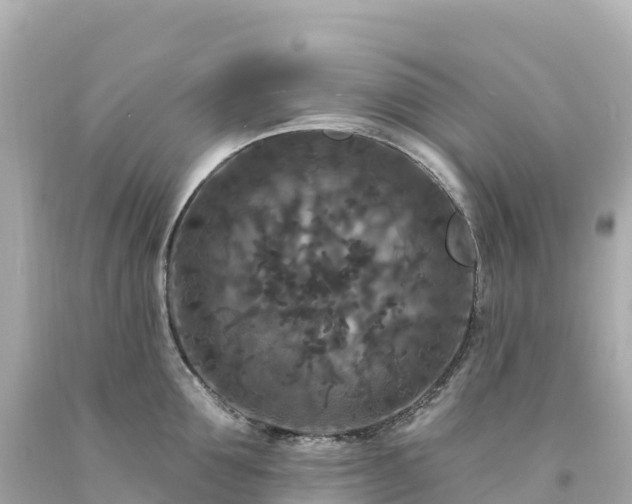 X0000094230907200711021200