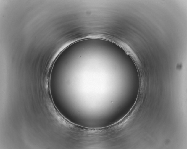 X0000094230908200711021200