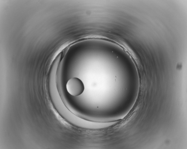 X0000094230909200711021200