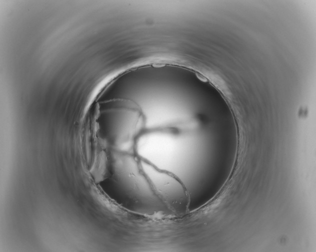 X0000094230912200711021200