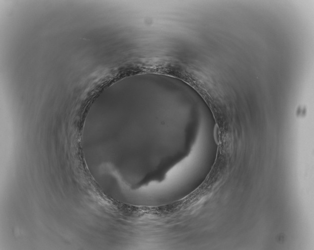 X0000094230913200711021159