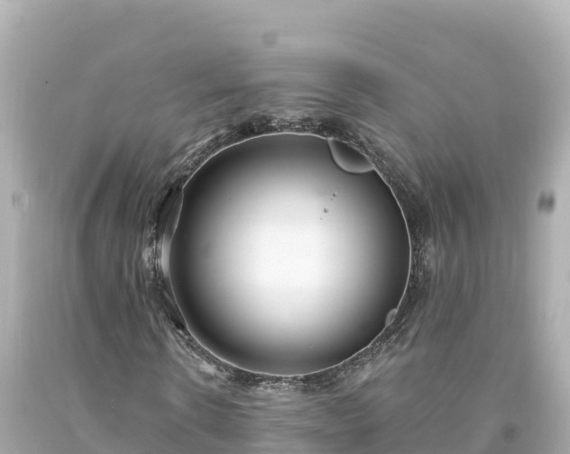 X0000094230914200711021159