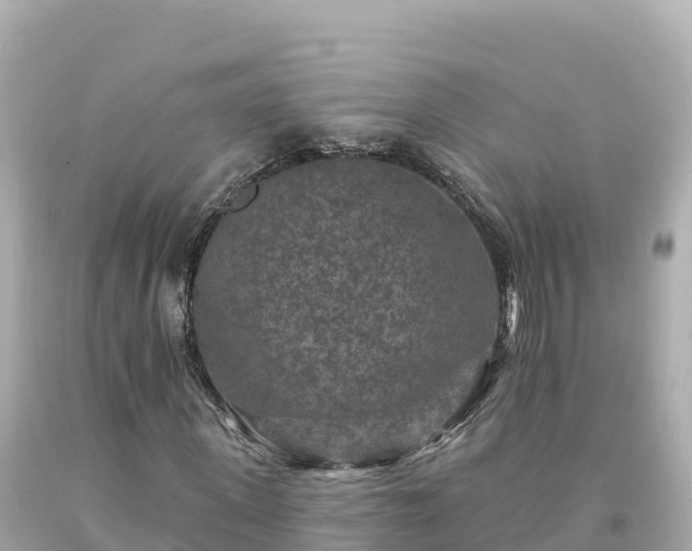 X0000094230915200711021159