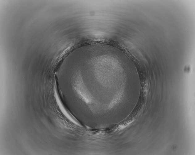 X0000094230916200711021159