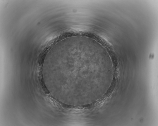 X0000094230917200711021159