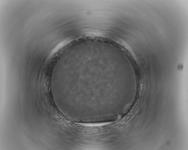 X0000094230919200711021159