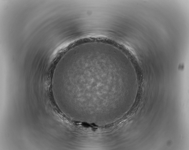 X0000094230920200711021159