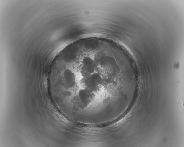 X0000094230921200711021159