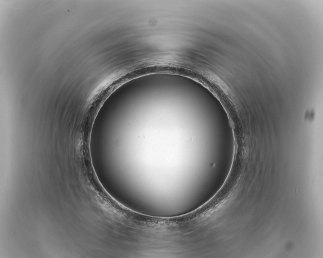 X0000094230922200711021159