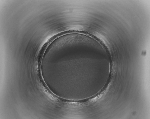 X0000094230923200711021159