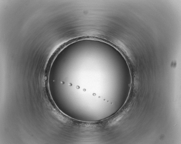 X0000094230924200711021159