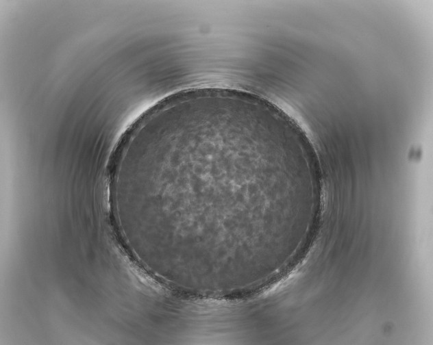 X0000094230925200711021159