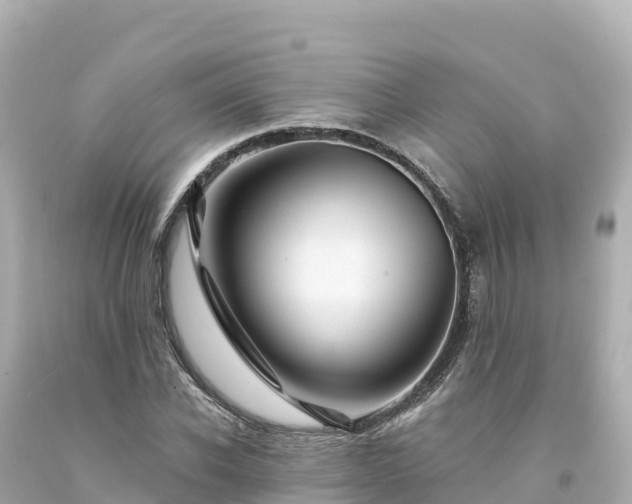 X0000094230926200711021159