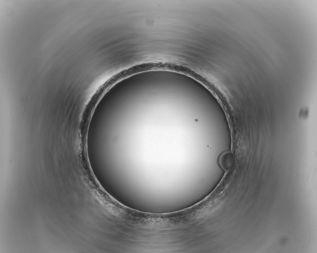 X0000094230927200711021159