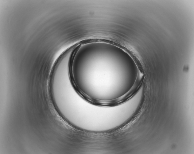 X0000094230928200711021159