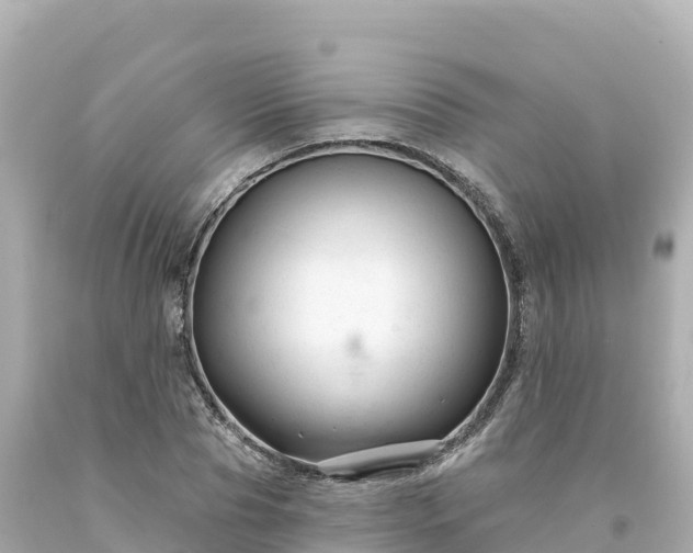 X0000094230929200711021159