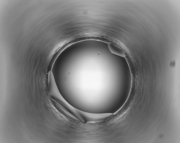 X0000094230930200711021159