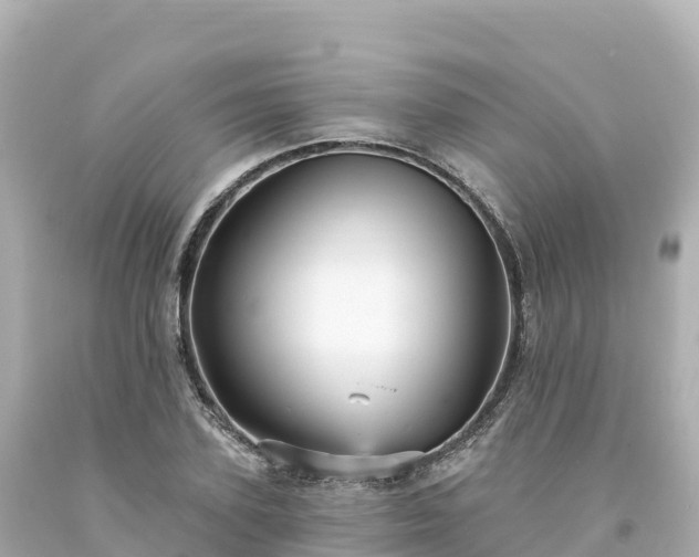 X0000094230931200711021159