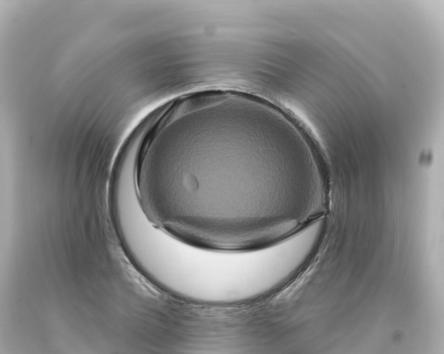 X0000094230932200711021159