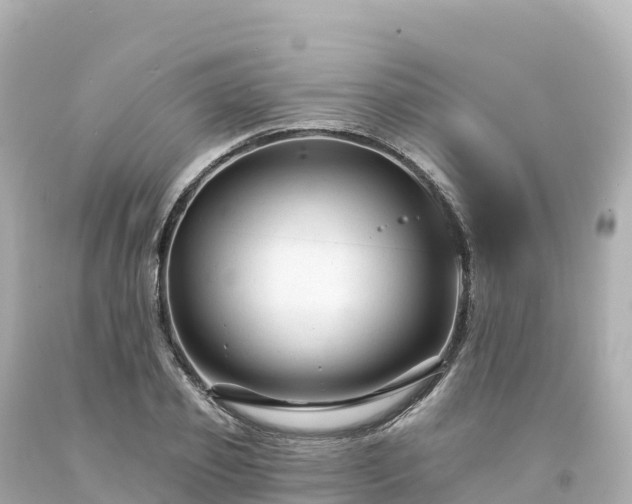 X0000094230933200711021159