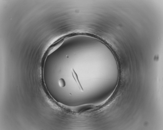 X0000094230934200711021159