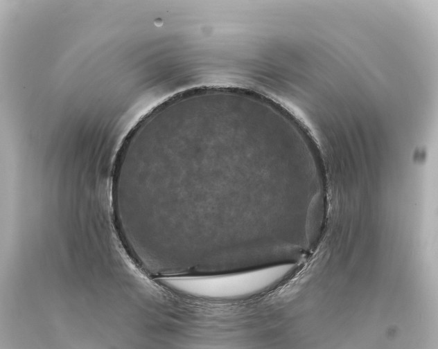 X0000094230935200711021159