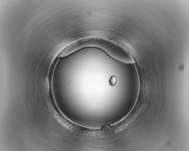 X0000094230936200711021159