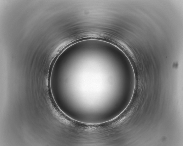 X0000094230938200711021159