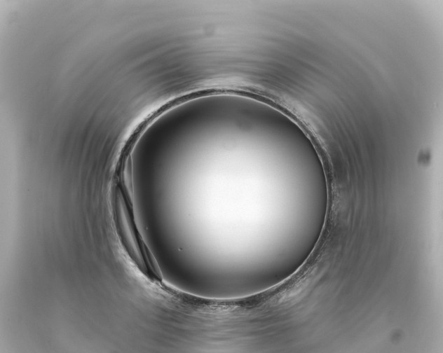 X0000094230939200711021159