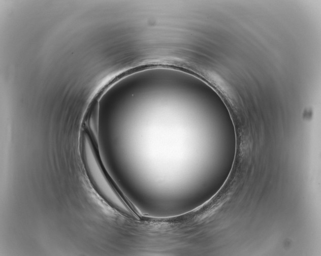 X0000094230940200711021159