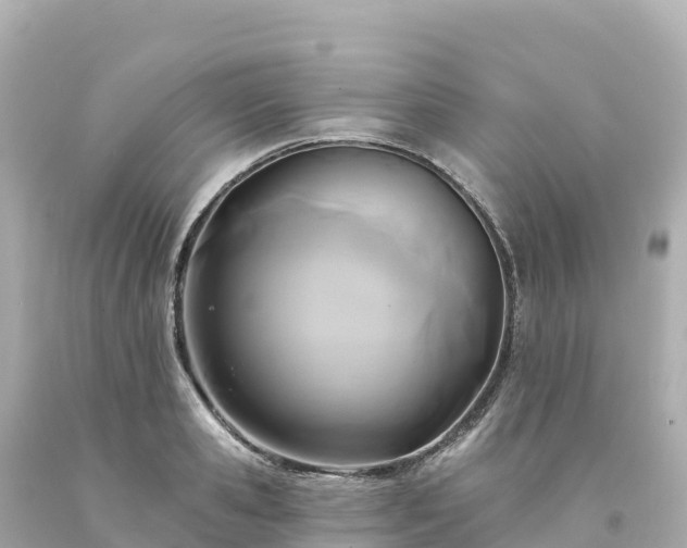 X0000094230941200711021159