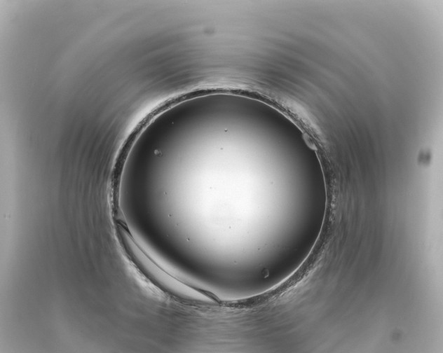 X0000094230942200711021159