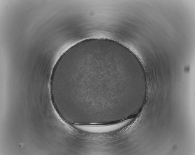 X0000094230943200711021159