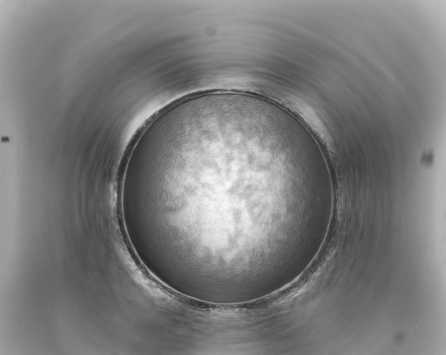 X0000094230944200711021159