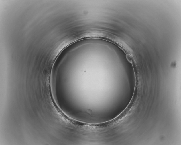 X0000094230945200711021159