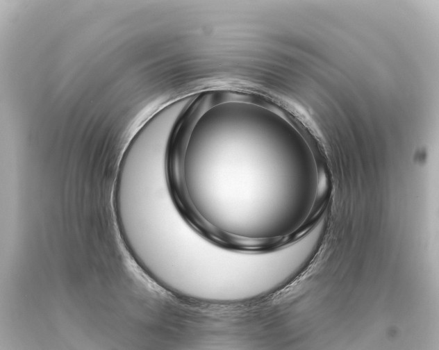 X0000094230946200711021200