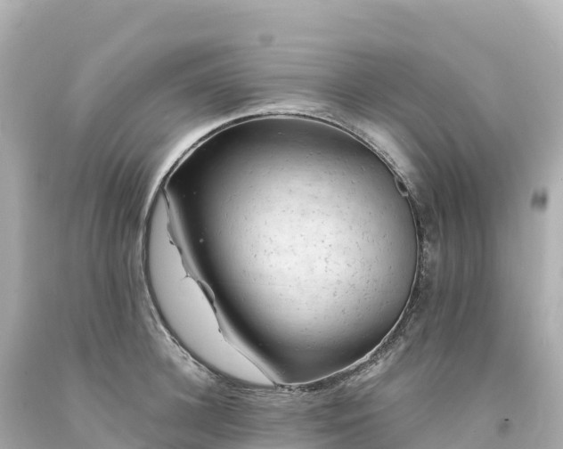 X0000094230948200711021200