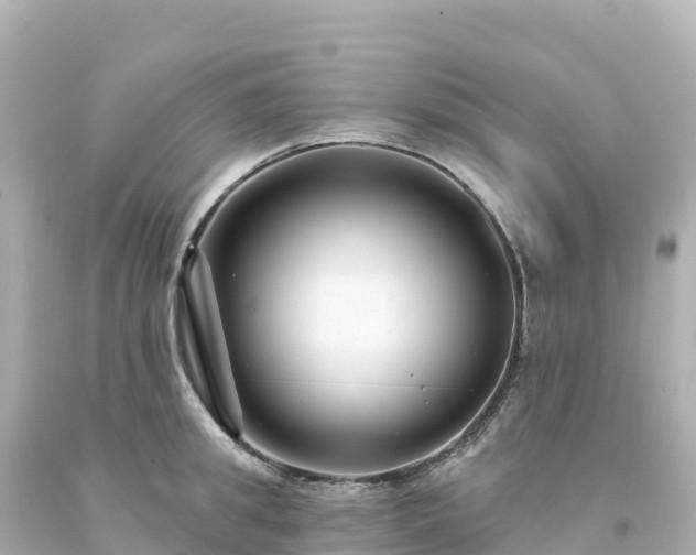 X0000094230949200711021200