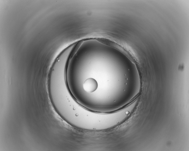 X0000094230950200711021200