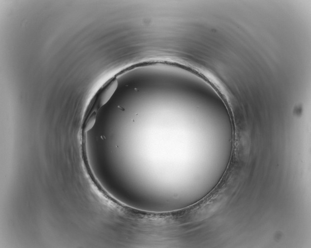 X0000094230951200711021200