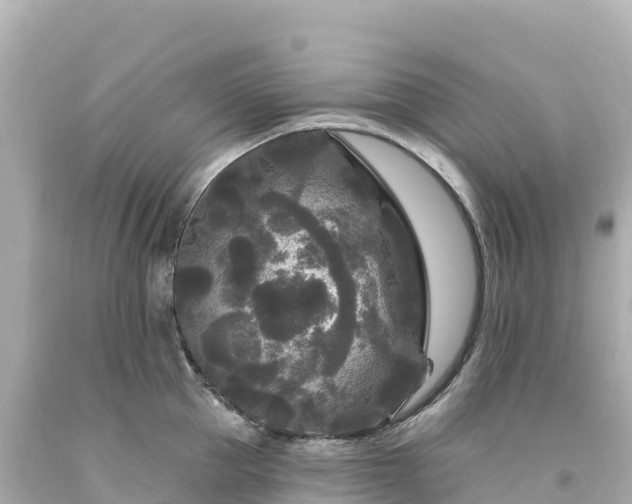 X0000094230953200711021200