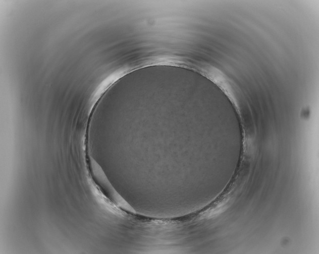 X0000094230954200711021200