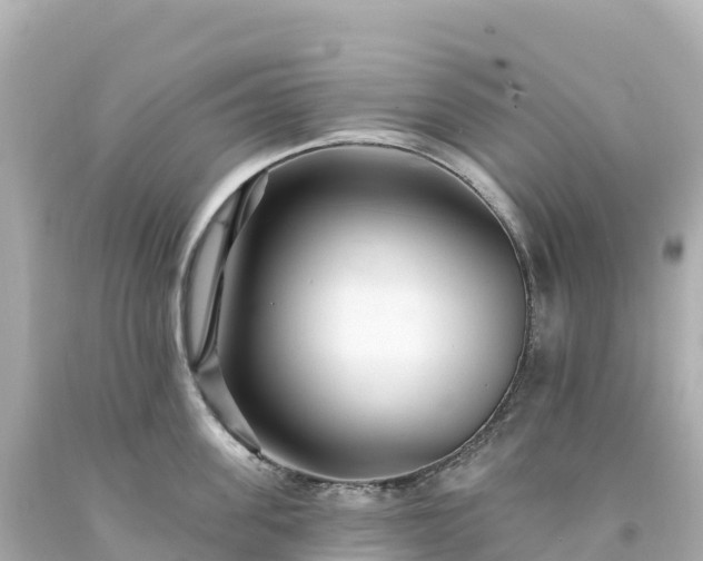 X0000094230955200711021200