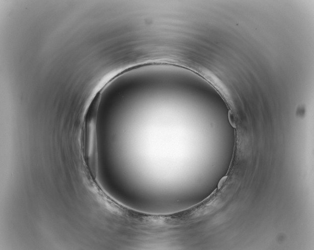 X0000094230956200711021200