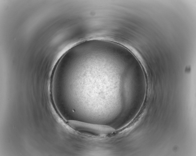 X0000094230957200711021200