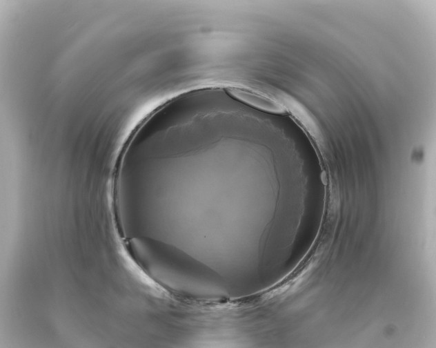 X0000094230958200711021200