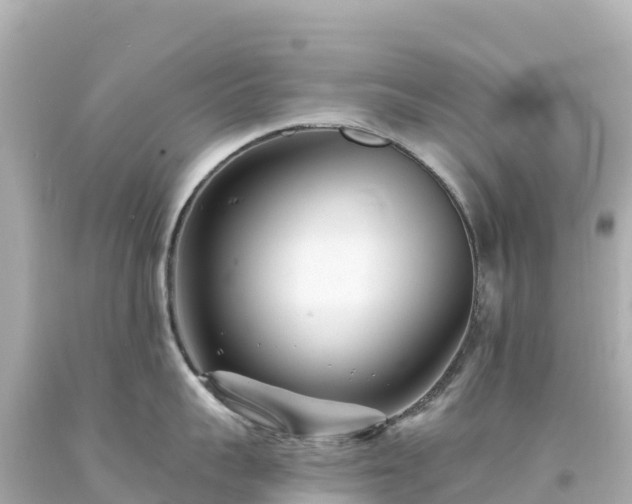 X0000094230959200711021200