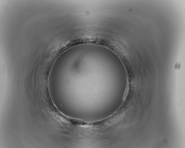 X0000094230961200711021159