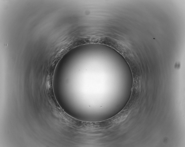 X0000094230962200711021159