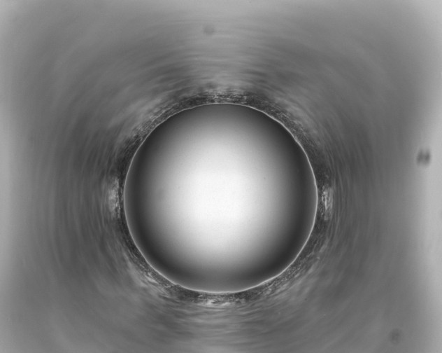 X0000094230963200711021159